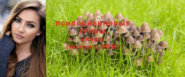 экстази Семёнов