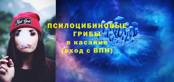 COCAINE Инсар