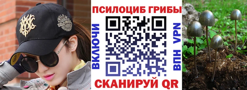 Псилоцибиновые грибы прущие грибы  хочу   Советск 