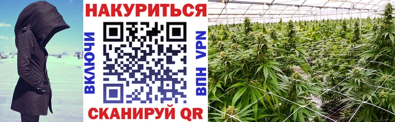 Канабис OG Kush blacksprut зеркало Советск